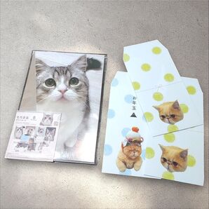 【未使用】「もちまる日記」 ポストカード & ポチ袋セット 猫 もちまる