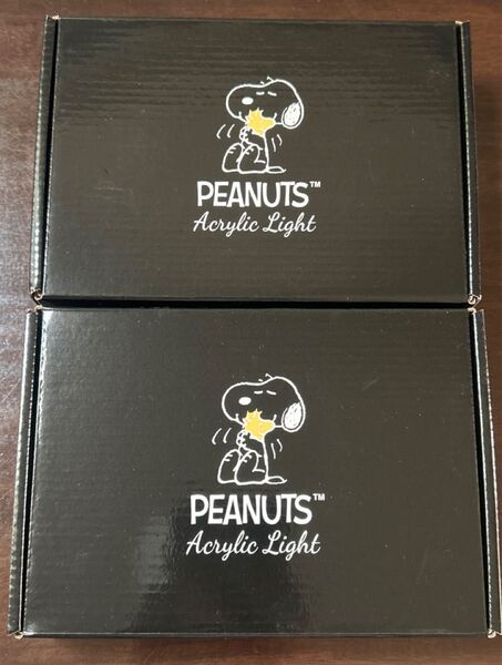 PEANUTS アクリルライト 2種セット スヌーピー
