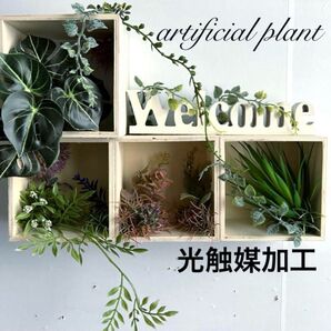 光触媒加工 抗菌消臭 ウォールグリーン ウェルカムオブジェNO.17