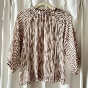 Style note ストライプ柄 シースルーブラウス