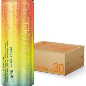 ENERICHE エネリッシュ エナジードリンク トロピカル 250ml×29缶