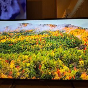 【極美品】 SONY 4K 43インチ液晶テレビ KJ-43X8000H 2021年製【直接引き取り5000円引き】