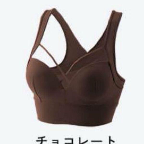 【新品未使用】AGARISM×GYDAナイトブラ 2点セットLL チョコレート