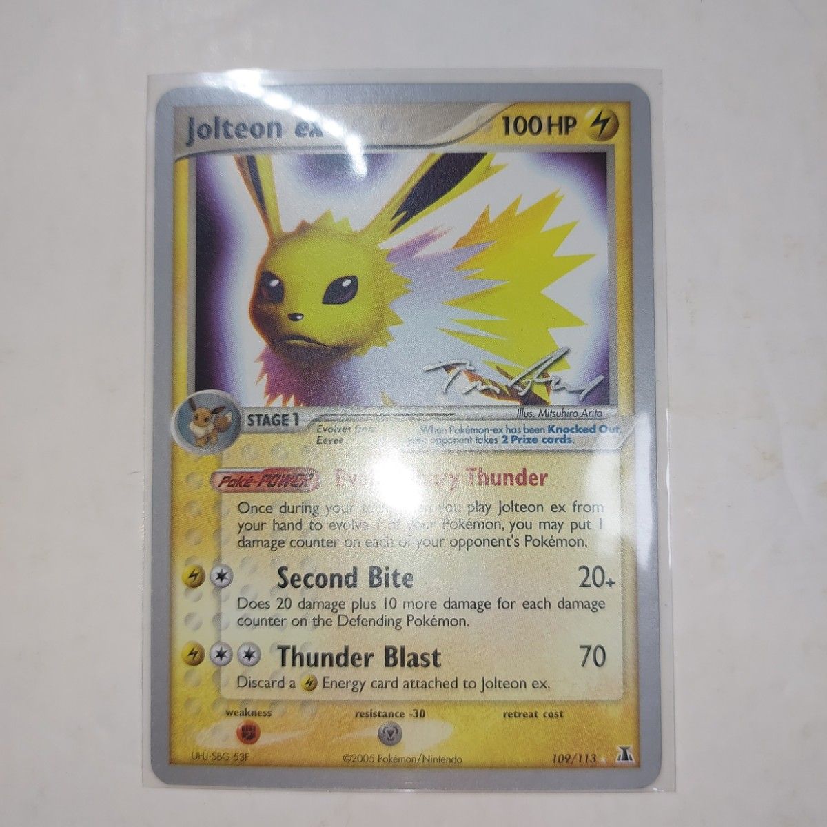 ポケモンカード 基本エネルギー wcs2007 デッキ プロモ サイン ポケモンカード wcs2007 デッキ プロモ サイン 基本雷エネルギー