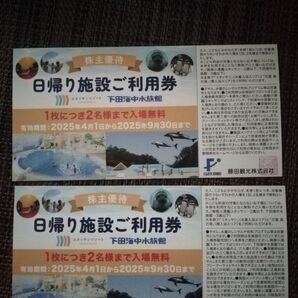 藤田観光 箱根小涌園ユネッサン下田海中水族館 入場無料券 2枚