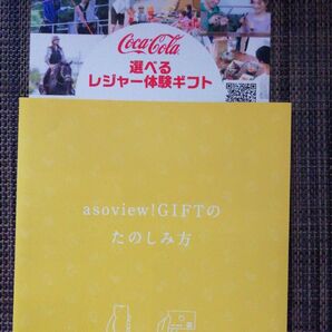 アソビュー選べるレジャー体験ギフト