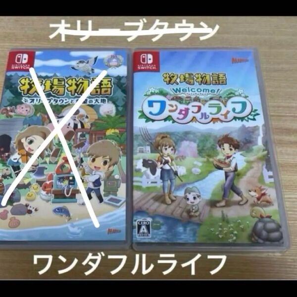 switch 牧場物語 ワンダフルライフ Nintendo 任天堂