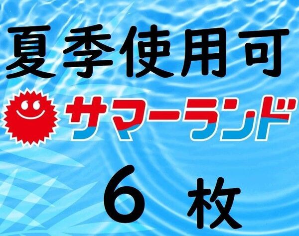 東京サマーランド 1dayパス6枚