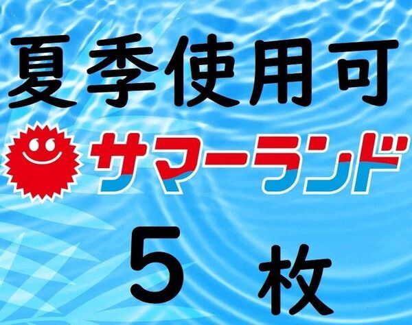 東京サマーランド 1dayパス5枚
