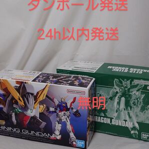 セット販売 新品未組み立て RG 1/144 シャイニングガンダム HG ドラゴンガンダム