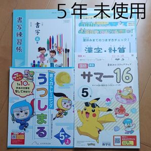 5年生 小五 夏休み 1学期 国語 算数 理科 社会 英語 読解 うつしまる 問題集 ドリル 先取り 予習 復習 まとめ売り