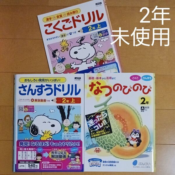 2年生 小二 夏休み 1学期 国語 算数 漢字 計算 問題集 ドリル 予習 復習 まとめ売り セット