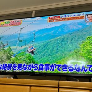 SONY4K 液晶 KJ-49X7500F 液晶テレビ