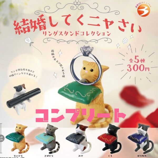 結婚してくニャさい リングスタンドコレクション リングスタンド 猫 ガチャ 5種