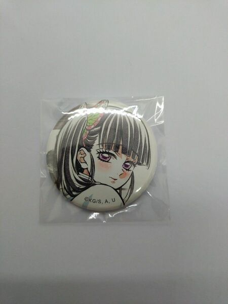 鬼滅の刃 柱描き下ろしイラストWEBSHOPくじ 胡蝶しのぶ・栗花落カナヲ E賞 44mm 缶バッジ 《栗花落カナヲ》