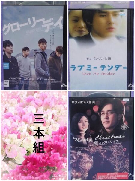 韓国映画DVD【グローリーデイ 他2本】