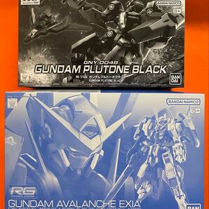 【2個セット】プレミアムバンダイ限定 HG ガンダムプルトーネブラック RG ガンダムアヴァランチエクシアダッシュ