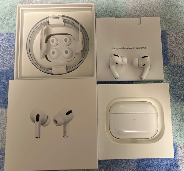 Apple AirPods Pro (第1世代) MWP22J/A アップル 付属品完品