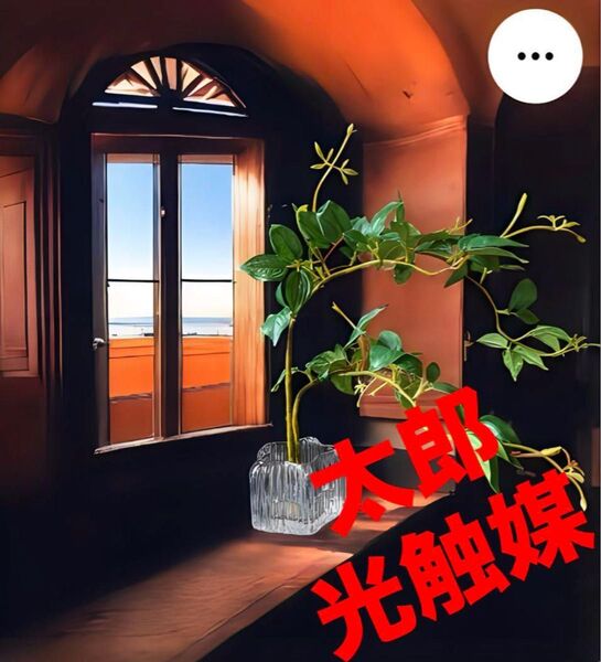 光触媒 人工観葉植物 フェイクグリーン マジカルウォーター バインリーフ花器付き