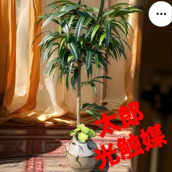 光触媒 人工観葉植物 ウォールグリーン フェイクグリーン アジアン風ショウナンゴム