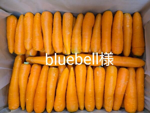 bluebell様 にんじん 17kg わけあり 熊本