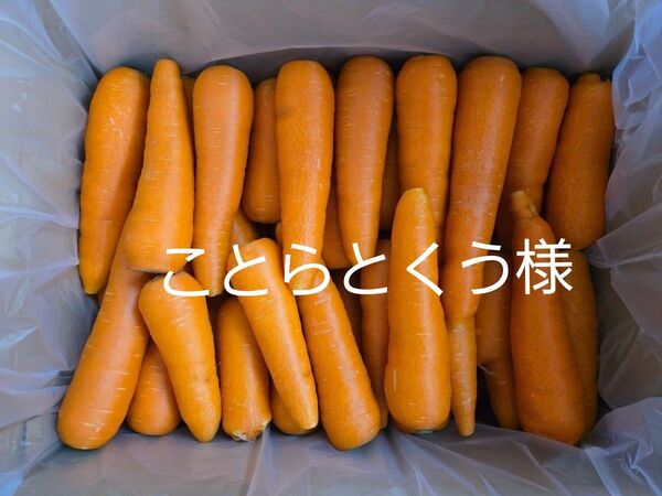 ことらとくう様 にんじん 20kg わけあり熊本