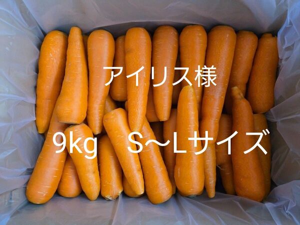 アイリス様 にんじん 9kg わけあり 熊本