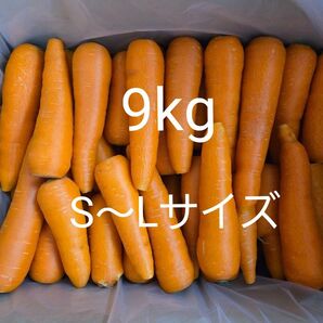 にんじん 9kg わけあり 熊本県産