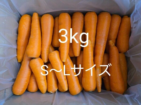 にんじん 3kg わけあり 熊本県産