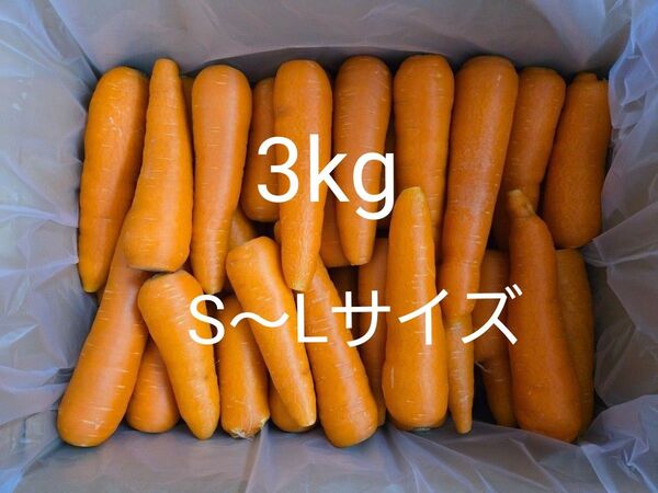 にんじん 3kg わけあり 熊本県産