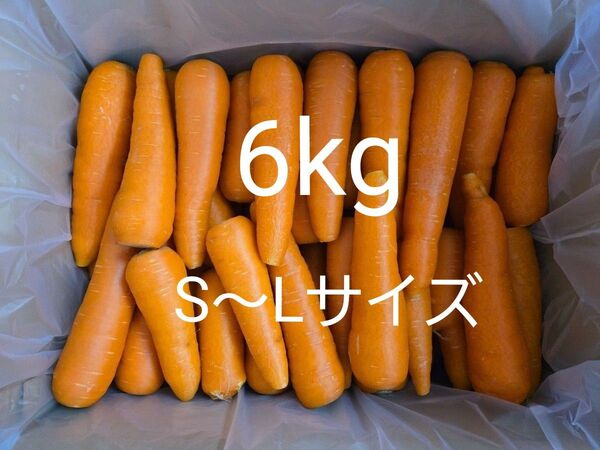にんじん 6kg わけあり 熊本県産