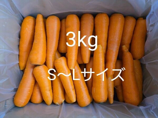 にんじん 3kg わけあり 熊本県産
