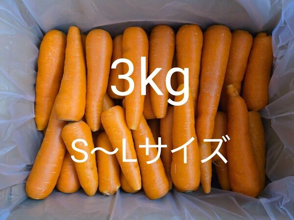 にんじん 3kg わけあり 熊本県産