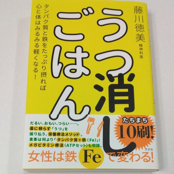 うつ消しごはん 藤川徳美/著