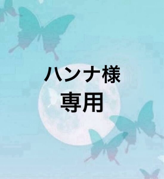 ハンナ様 専用