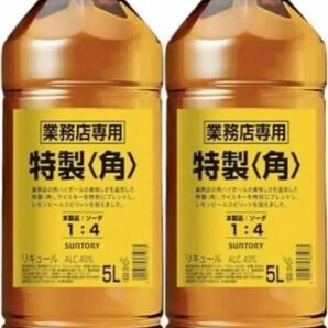 サントリー 業務用 角 5L 2本 セット