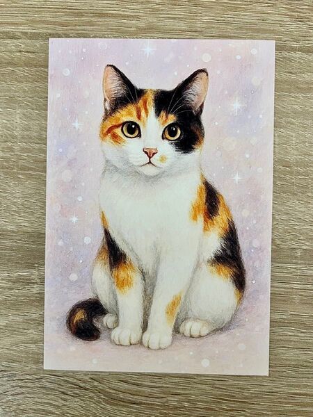 三毛猫 イラスト ポストカード