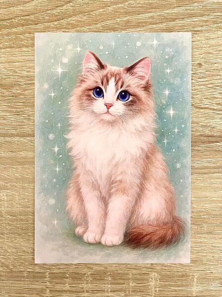 猫の絵 絵葉書 ラガマフィン ポストカード