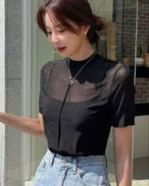 DAZY モックネックシアーメッシュトップス L