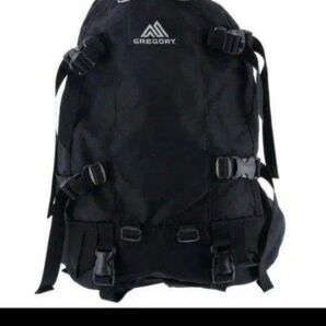 【極美品】GREGORY グレゴリー ALL DAY V2.1 24 L ブラック