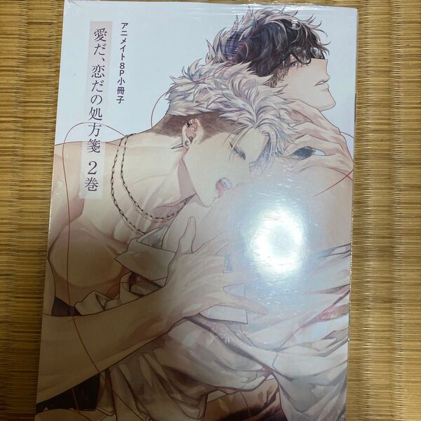 愛だ、恋だの処方箋 2 限定版/秋久テオ
