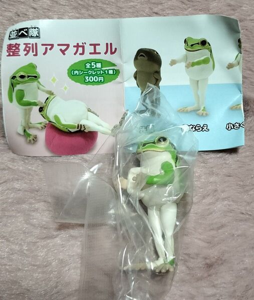 整列アマガエル フィギュア