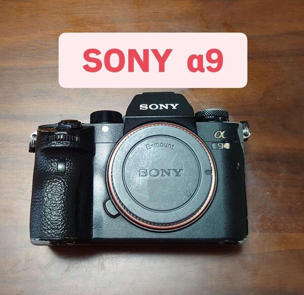 SONY α9 ボディ