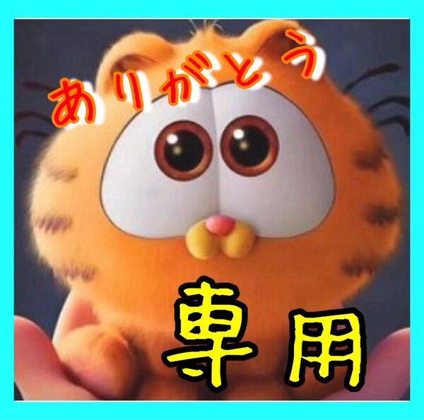 専用 ドラえもん 抹茶ホワイト
