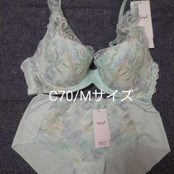 トリンプ 天使のブラ スリムライン TR582 C70/Mサイズ