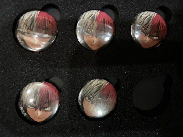 僕のヒーローアカデミア 応募者全員サービス ディスプレイ缶バッジ 轟焦凍