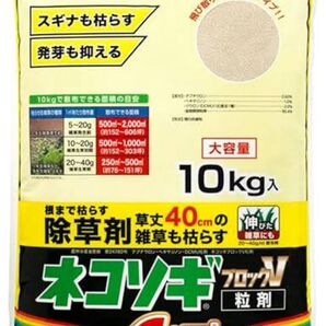 さくら様専用 ネコソギブロックV 10kg×2