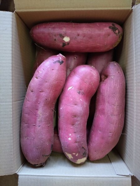 91 さつまいも 紅はるか 洗い 2Lサイズ 5kg 訳あり