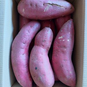 10 さつまいも 紅はるか 洗い 2Lサイズ 5kg 訳あり