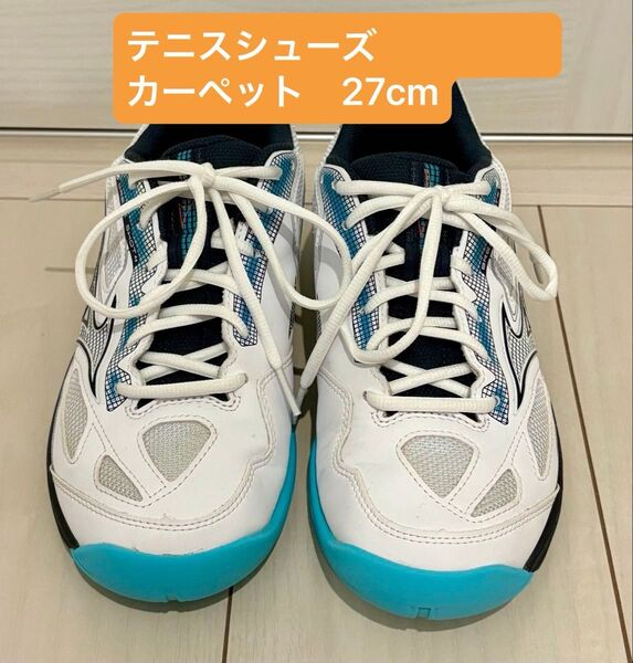 MIZUNO テニスカーペット用シューズ 27cm